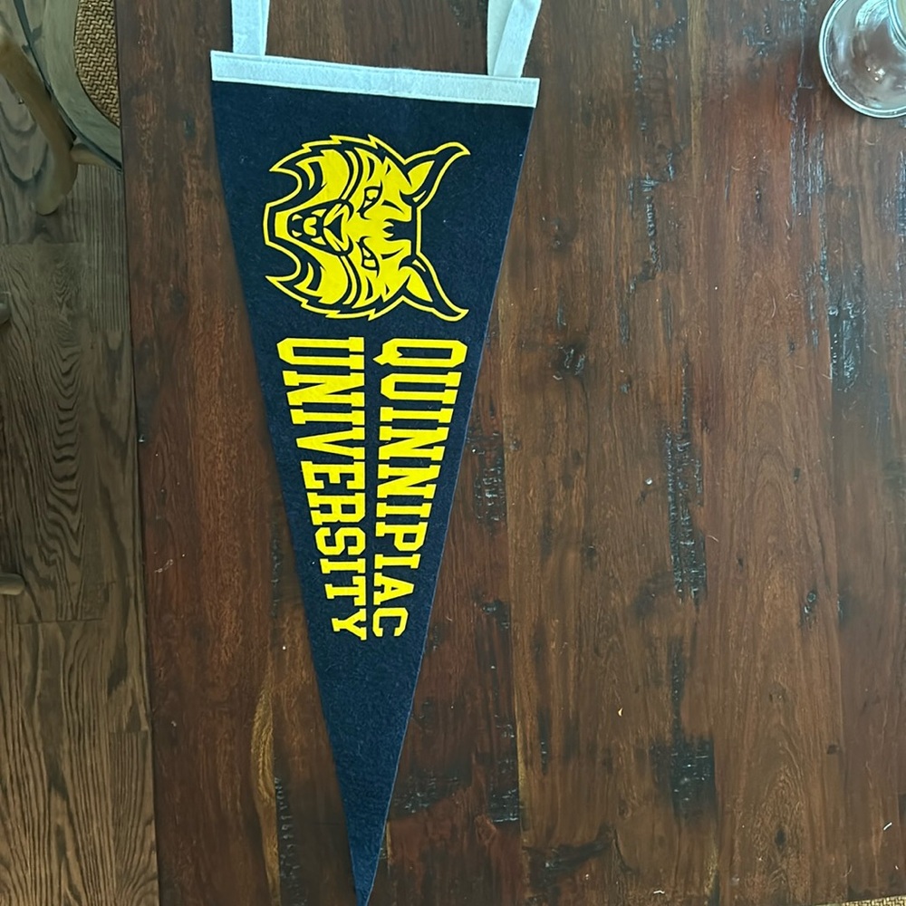 Quinnnipiac University Pennant!